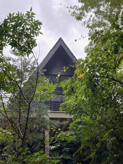 A Frame Of Mind Villa Dahlonega Ngoại thất bức ảnh